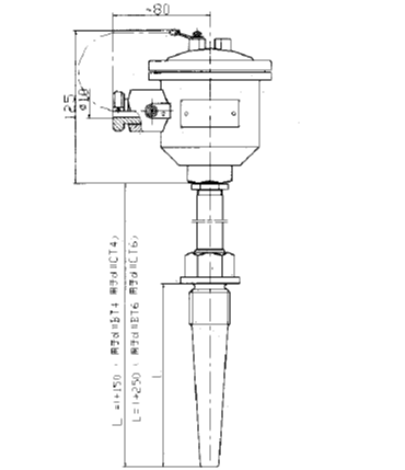 WZP-64SA固定螺紋錐形保護管隔爆熱電阻安裝圖片 WZP-64SA固定螺紋錐形保護管隔爆熱電阻安裝圖片