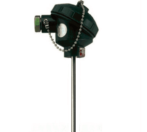 WZPK-133S無固定防水式鎧裝熱電阻 WZPK-133S無固定防水式鎧裝熱電阻