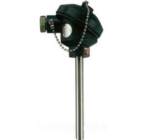 WZP2-121無固定雙支裝配式熱電阻 WZP2-121無固定雙支裝配式熱電阻