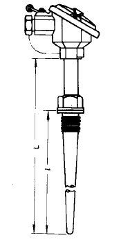WZP2-621A固定螺紋錐形套管雙支熱電阻安裝圖片