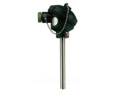 WZP-131無固定防水式熱電阻